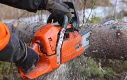 Kleine Grafik zum Thema Werkzeug mit einer orangenen Kettensäge, die einen Baum durchsägt