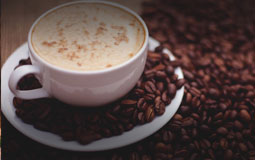 Kleine Grafik zum Thema Kaffee mit einer weißen, gefüllten Kaffeetasse und vielen Kaffeebohnen